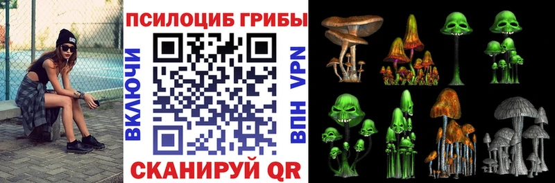 купить наркоту  Бабаево  Галлюциногенные грибы MAGIC MUSHROOMS 